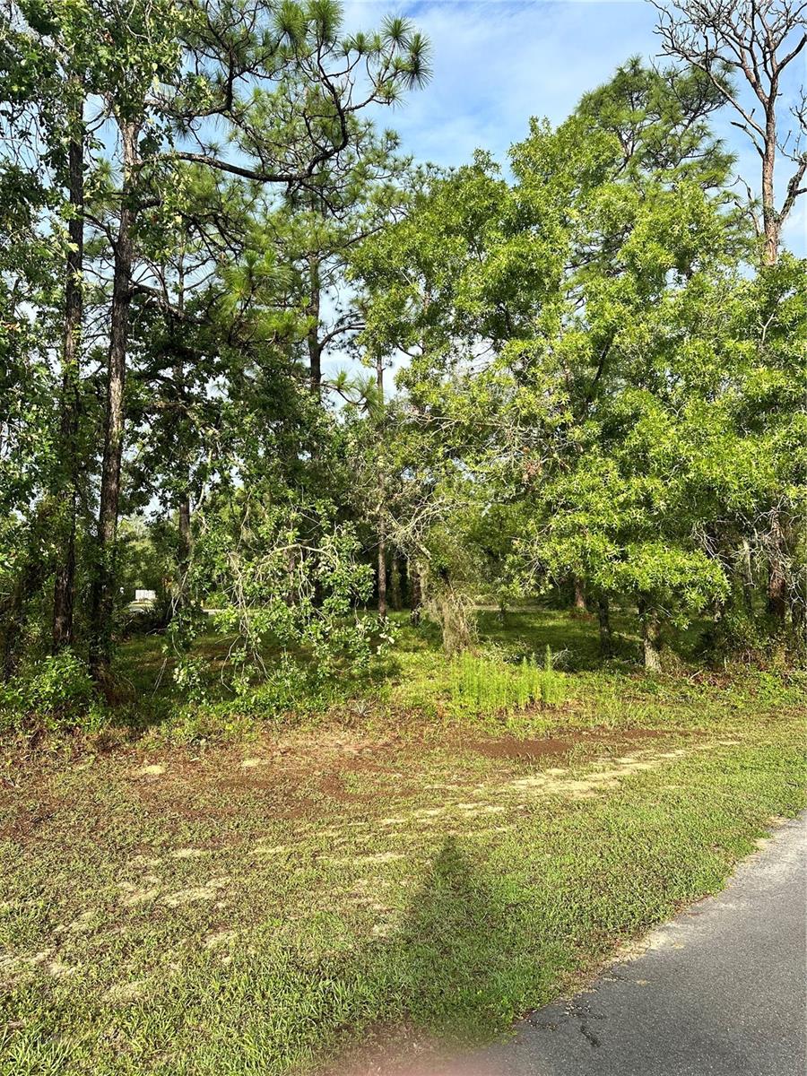 2 BARKWOOD PT, HOMOSASSA, FL