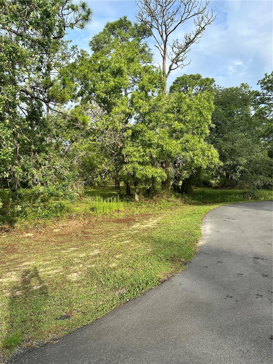 2 BARKWOOD PT, HOMOSASSA, FL — photo 2