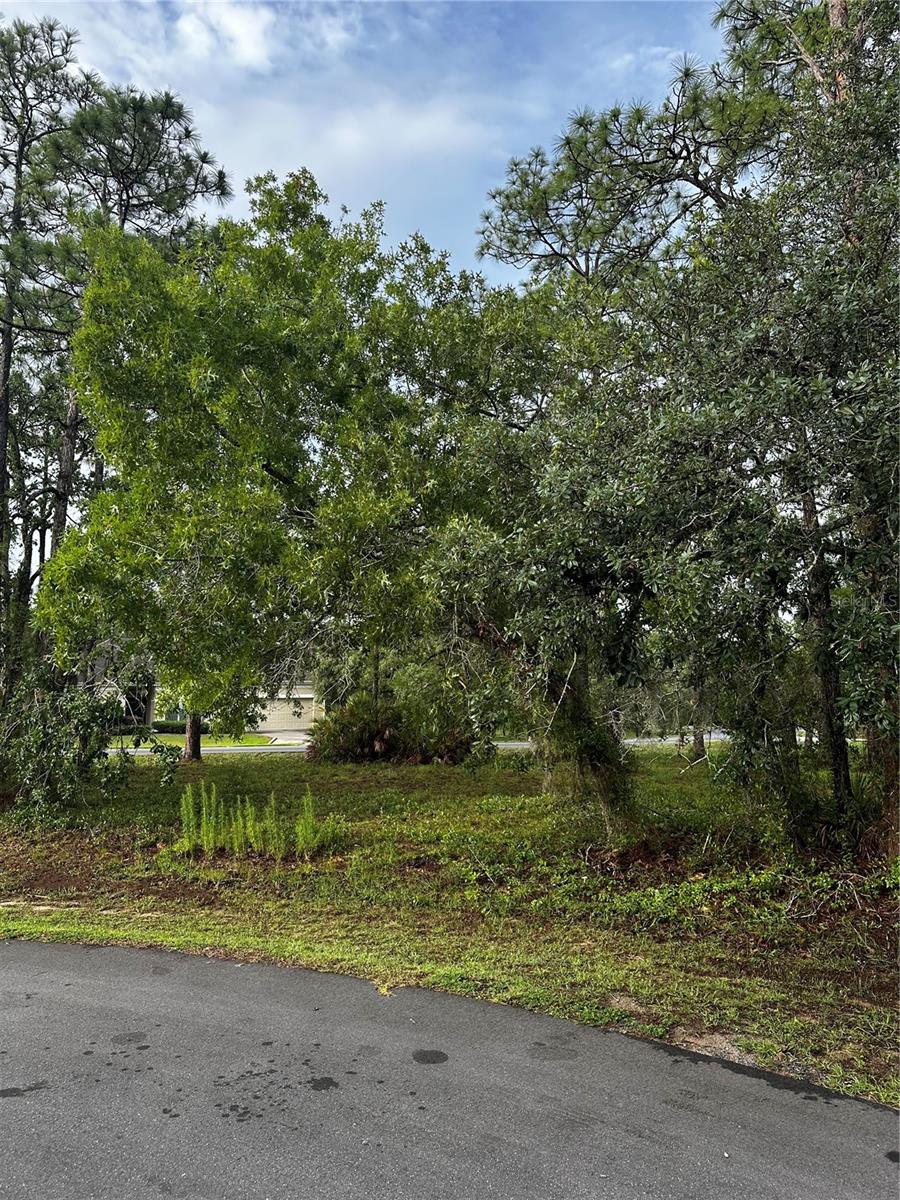 2 BARKWOOD PT, HOMOSASSA, FL — photo 3