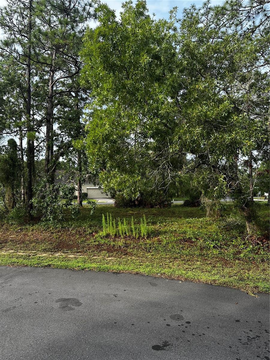 2 BARKWOOD PT, HOMOSASSA, FL — photo 4