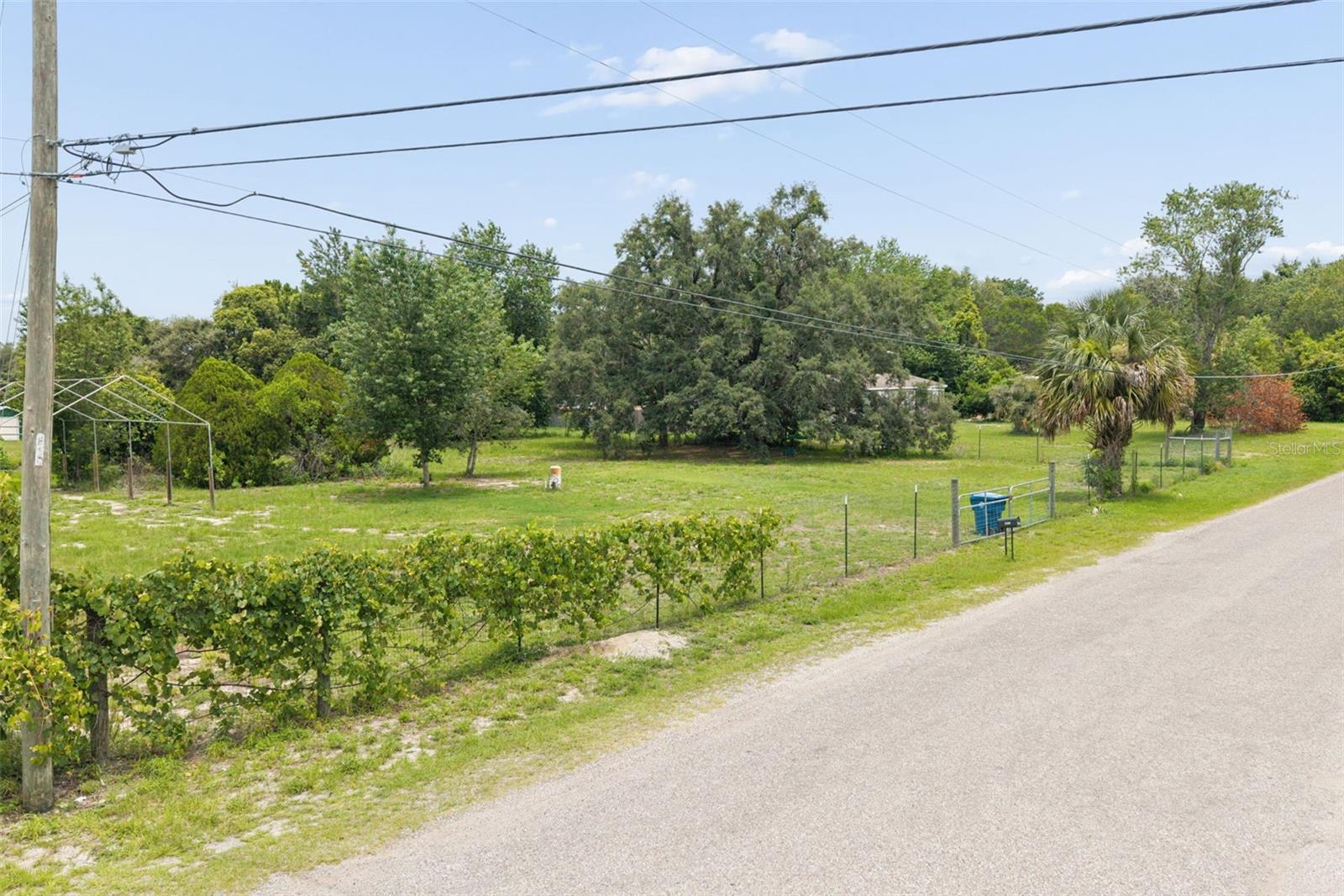 9361 ORCHARD WAY, SPRING HILL, FL — photo 12
