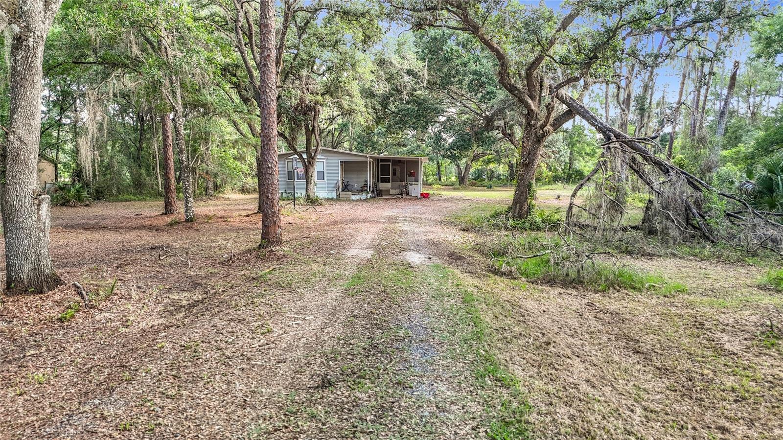 38625 COUNTY LINE RD, ZEPHYRHILLS, FL — photo 3