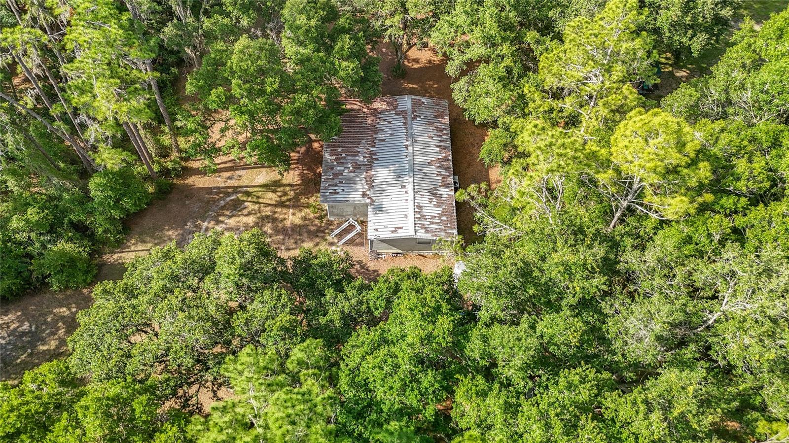 38625 COUNTY LINE RD, ZEPHYRHILLS, FL — photo 9