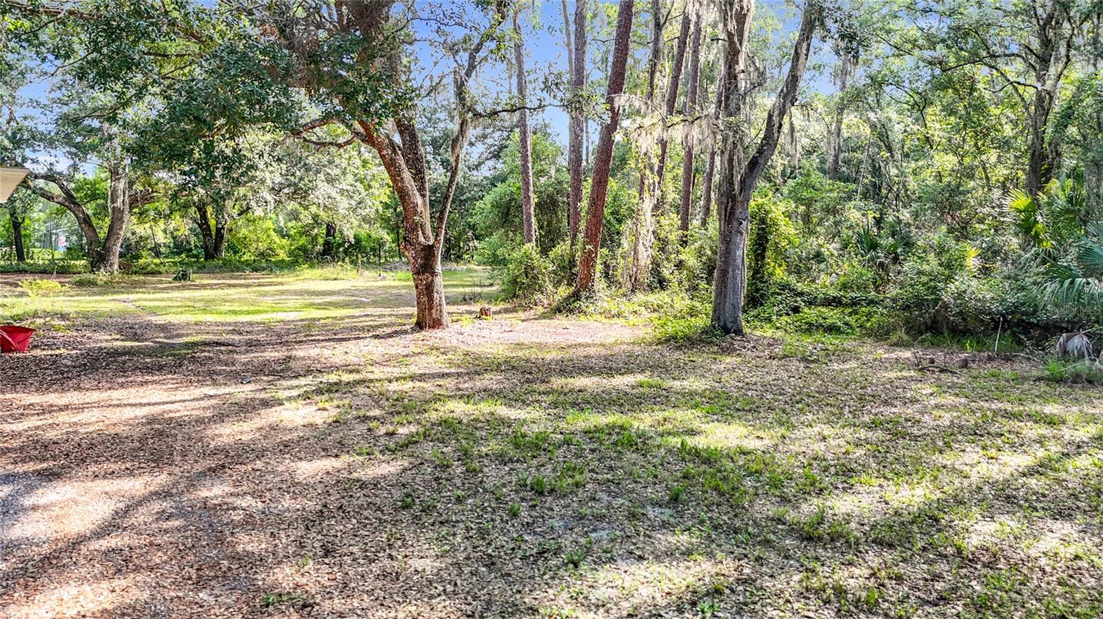 38625 COUNTY LINE RD, ZEPHYRHILLS, FL — photo 10