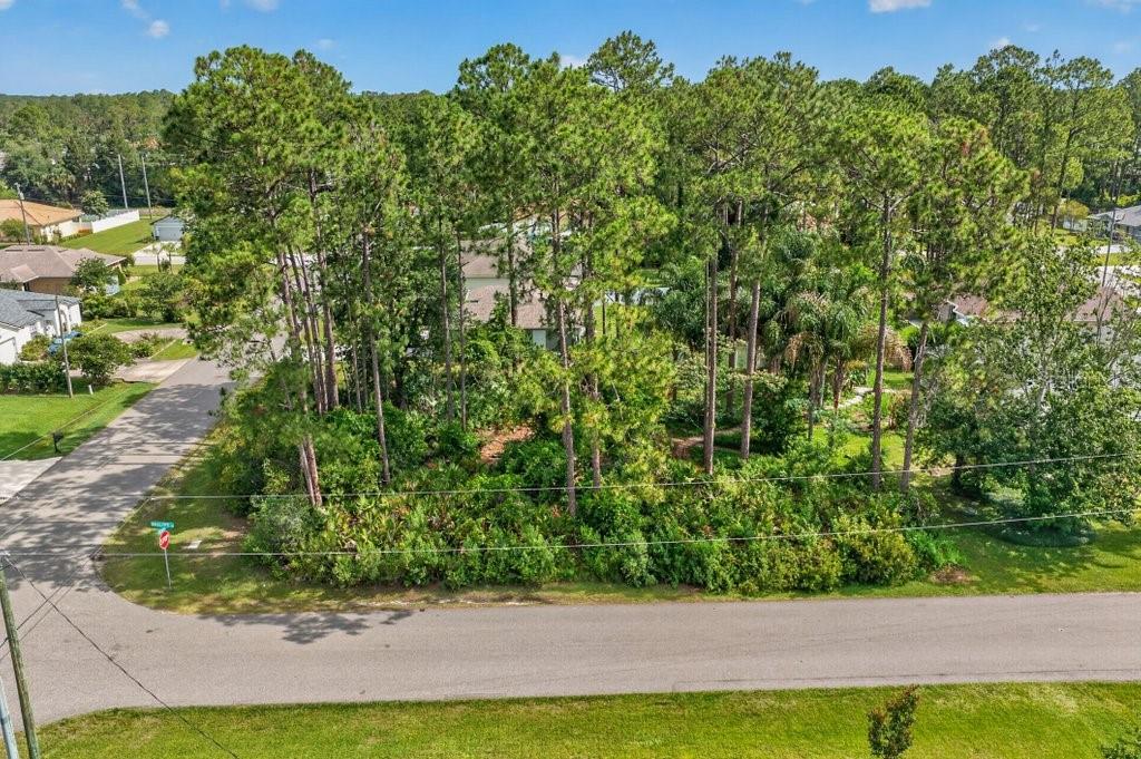 0 RYAN DR, PALM COAST, FL — photo 5