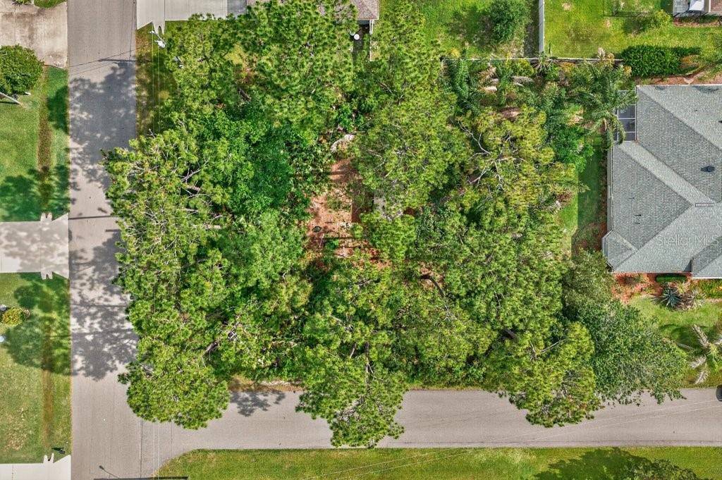 0 RYAN DR, PALM COAST, FL — photo 7