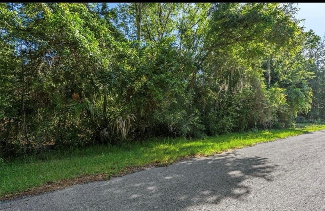 10975 W ROCKHAVEN LN, HOMOSASSA, FL — photo 2