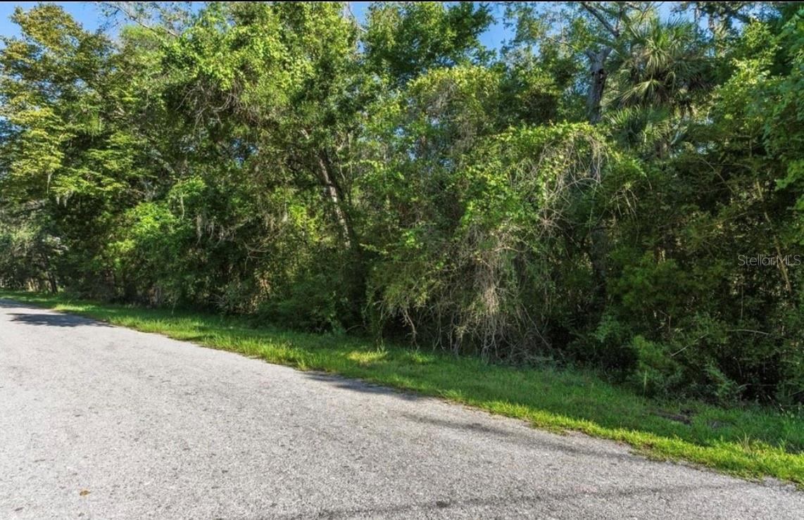 10975 W ROCKHAVEN LN, HOMOSASSA, FL — photo 3