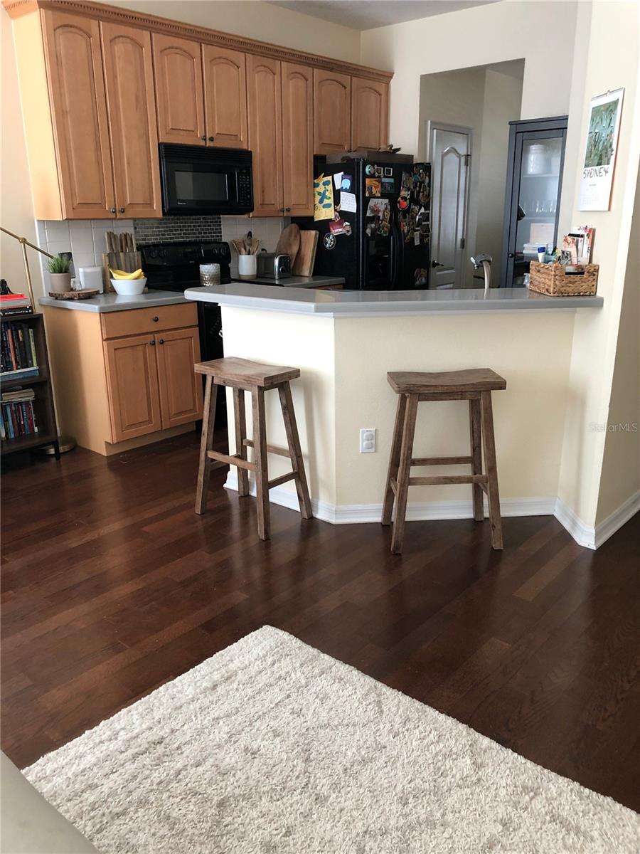 12982 KEGAN ST, WINDERMERE, FL — photo 4
