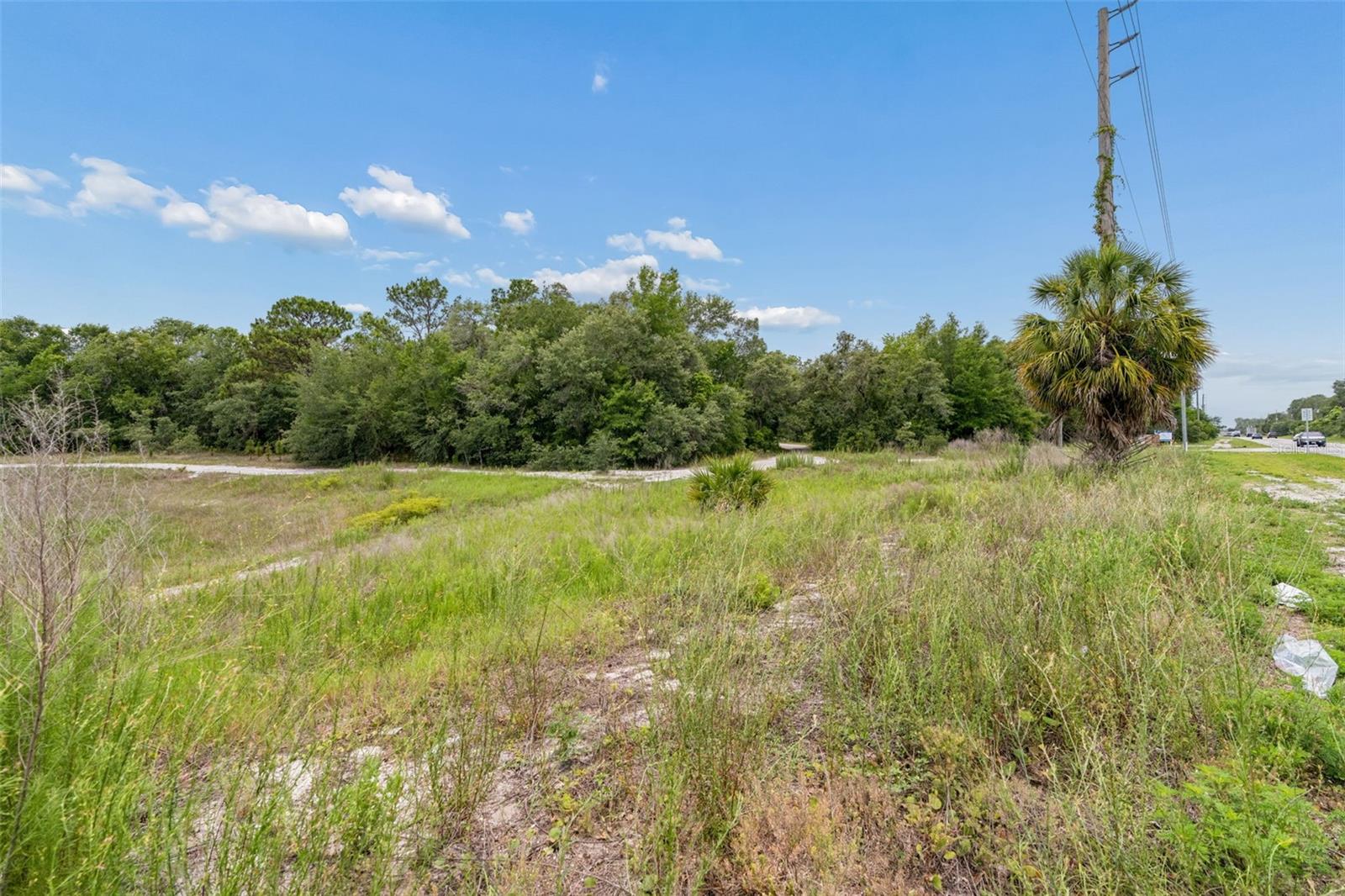 COUNTY LINE RD, SPRING HILL, FL — photo 15