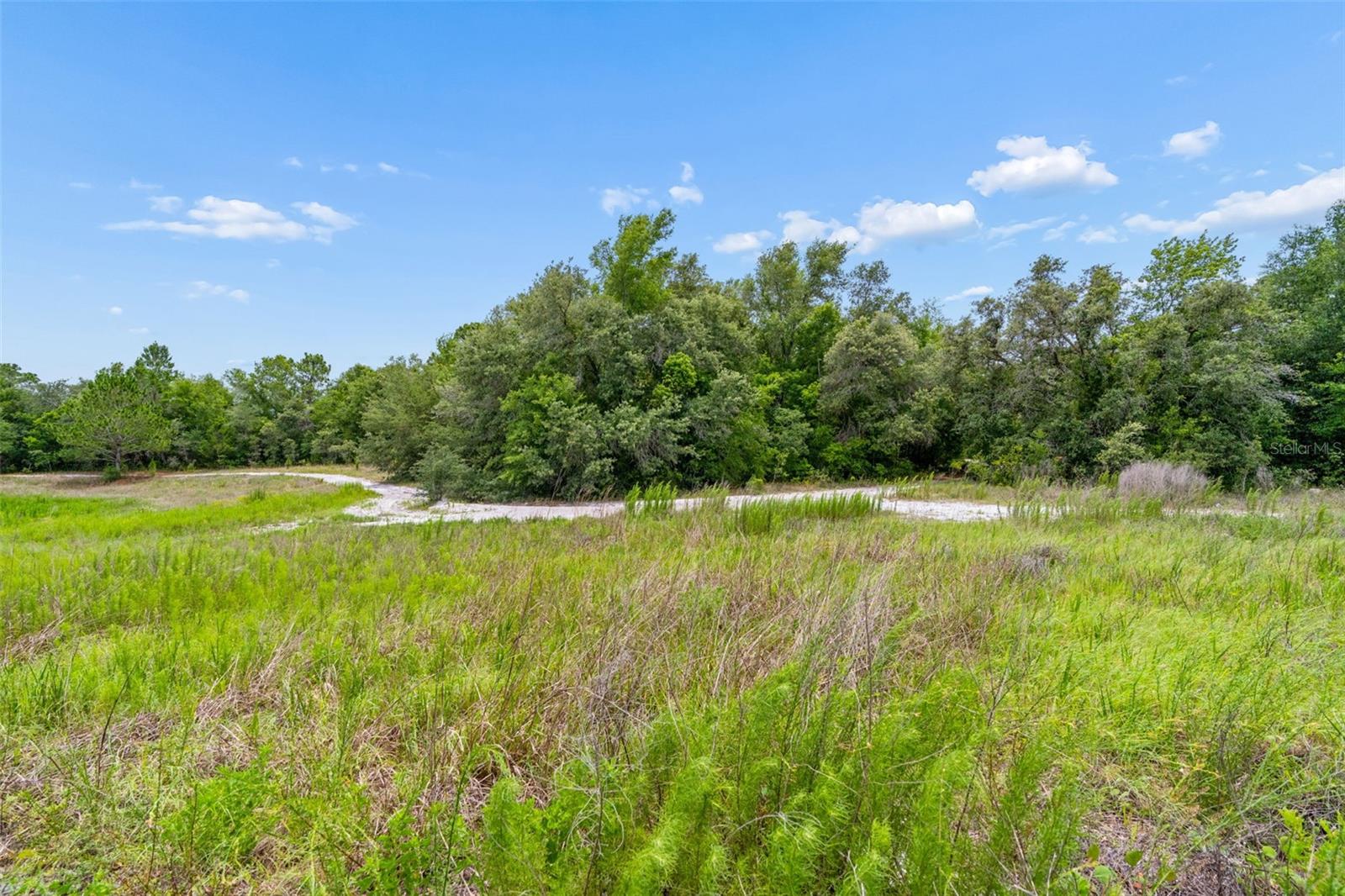 COUNTY LINE RD, SPRING HILL, FL — photo 17