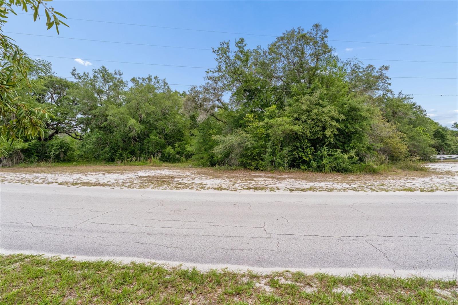 COUNTY LINE RD, SPRING HILL, FL — photo 19