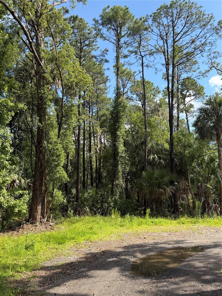 1340 JAYCE CT, GENEVA, FL — photo 2