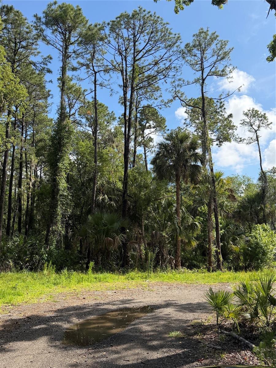 1340 JAYCE CT, GENEVA, FL — photo 3