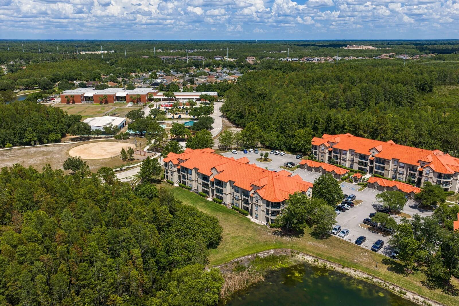 18108 PEREGRINES PERCH PL #7110, LUTZ, FL — photo 39