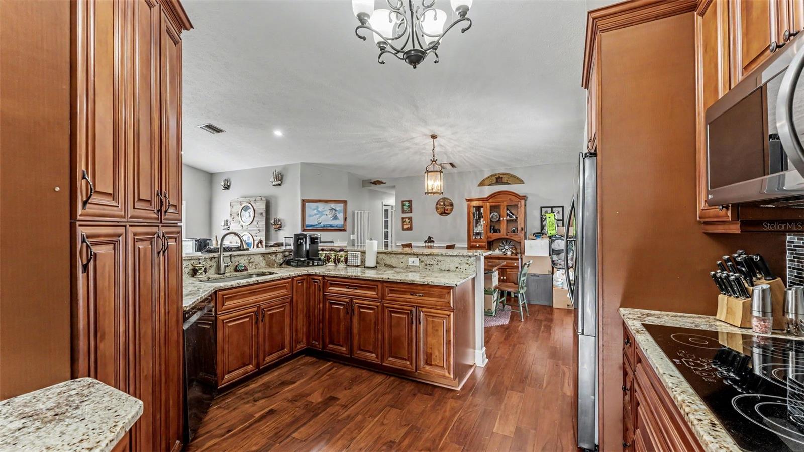 36225 OAK KNOLL LOOP, DADE CITY, FL — photo 6