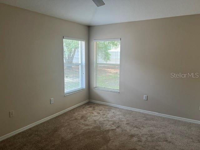 5038 AYRSHIRE DR, SPRING HILL, FL — photo 8