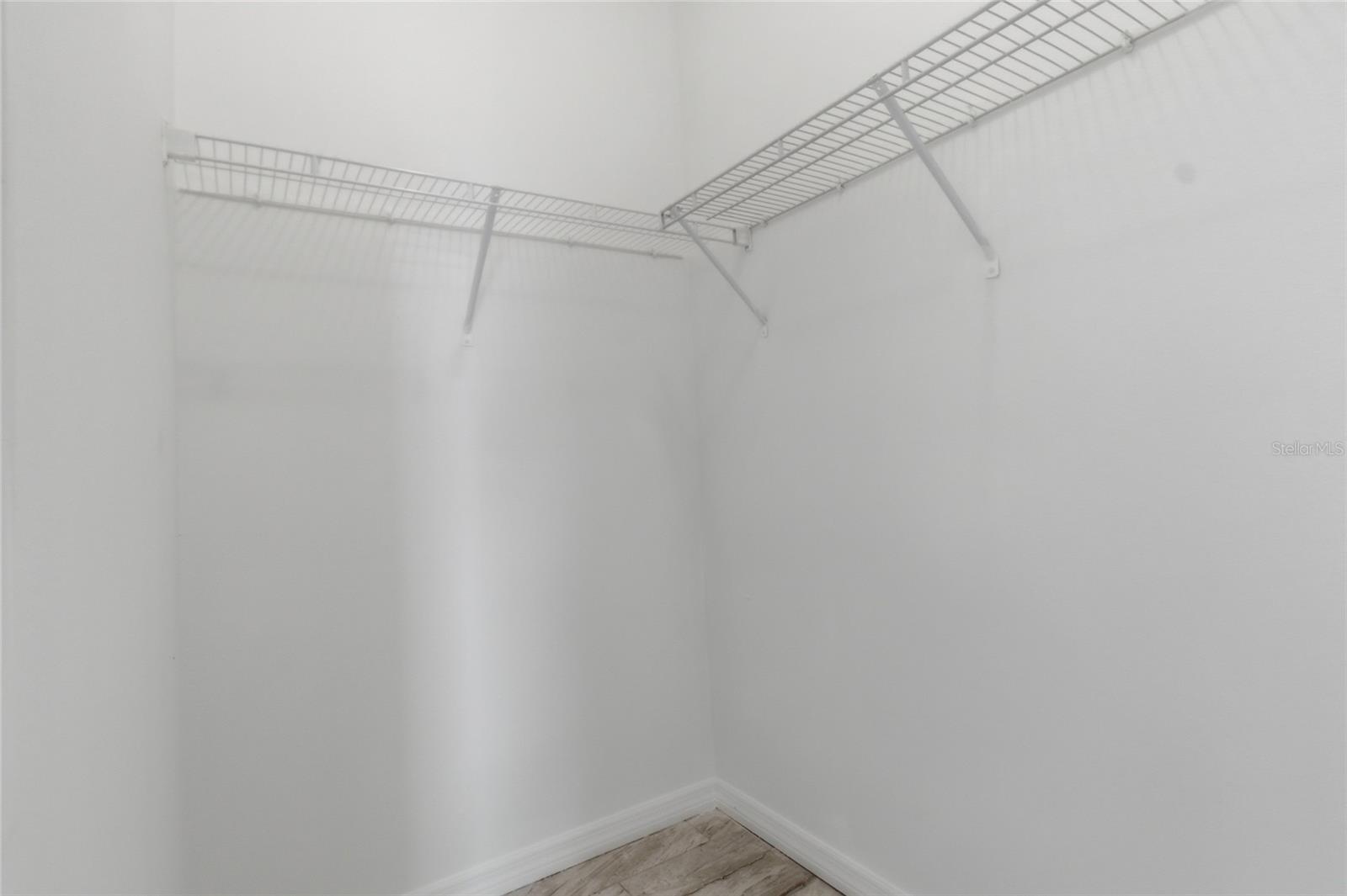 3702 WIGGINS LEAF ST, TAMPA, FL — photo 13