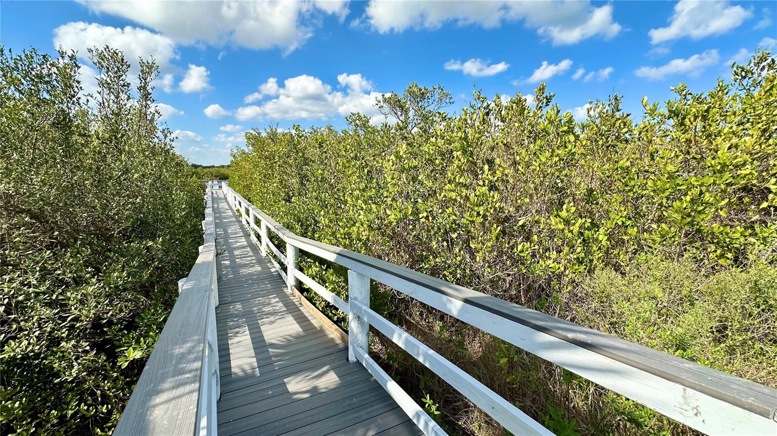 4860 S ATLANTIC AVE #1030, NEW SMYRNA BEACH, FL — photo 20
