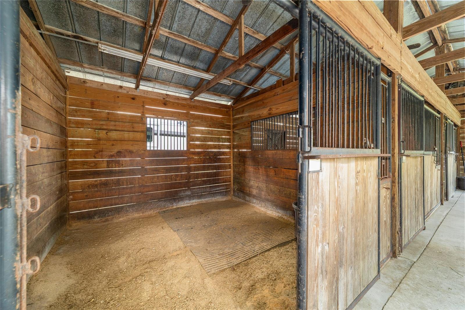 3371 NW 120TH AVE, OCALA, FL — photo 13