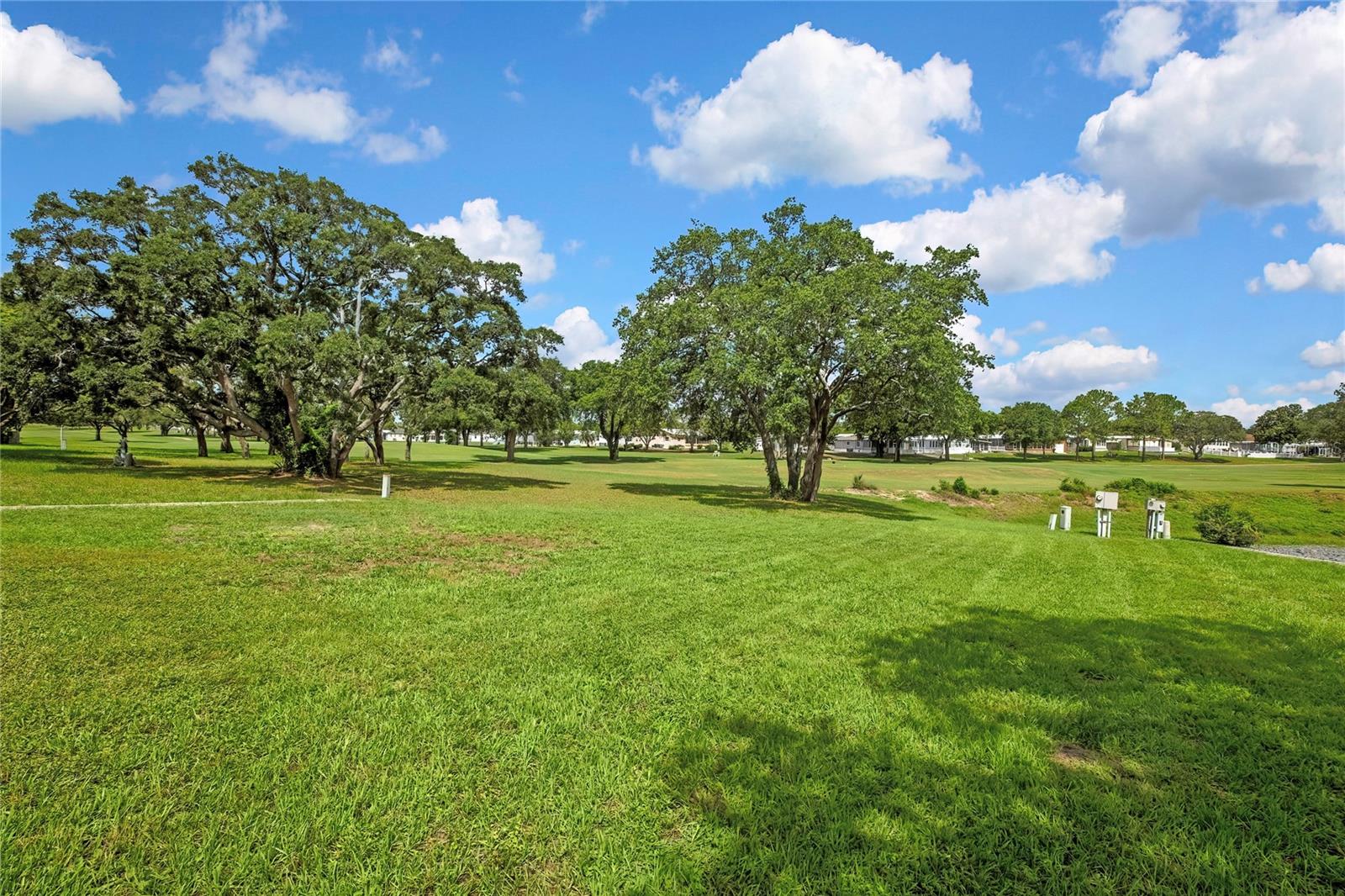 15515 BROOKRIDGE BLVD, BROOKSVILLE, FL — photo 3