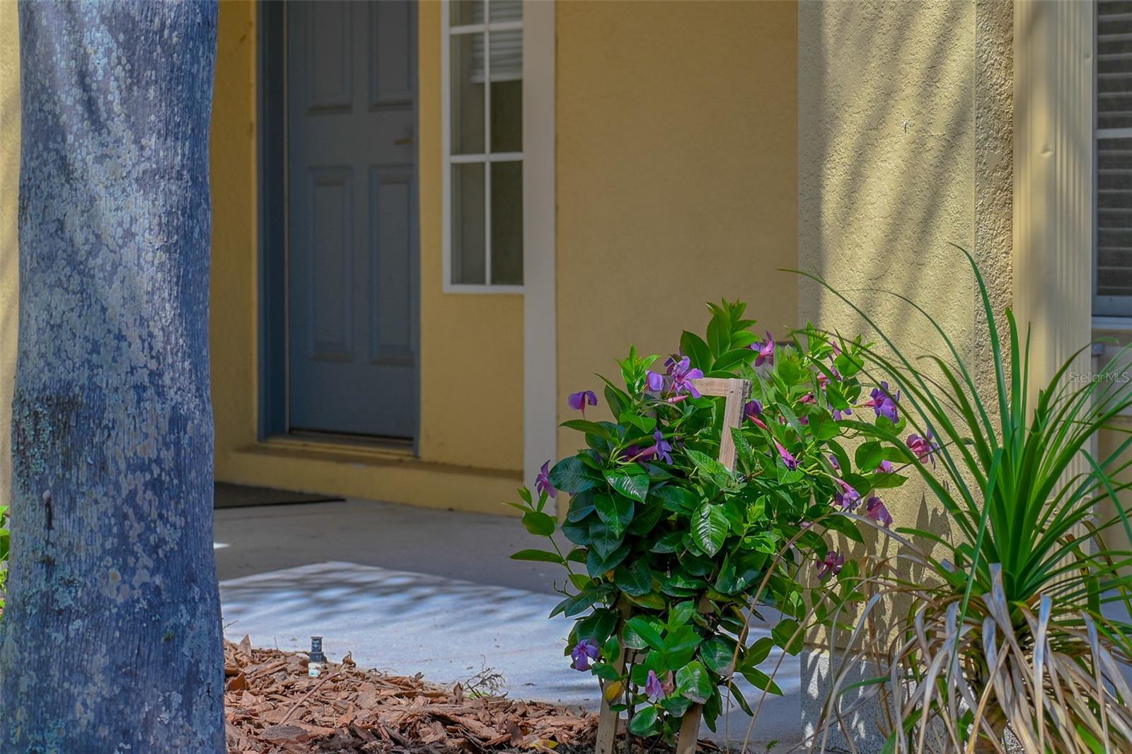 2019 HONEYBELL AVE, HAINES CITY, FL — photo 29