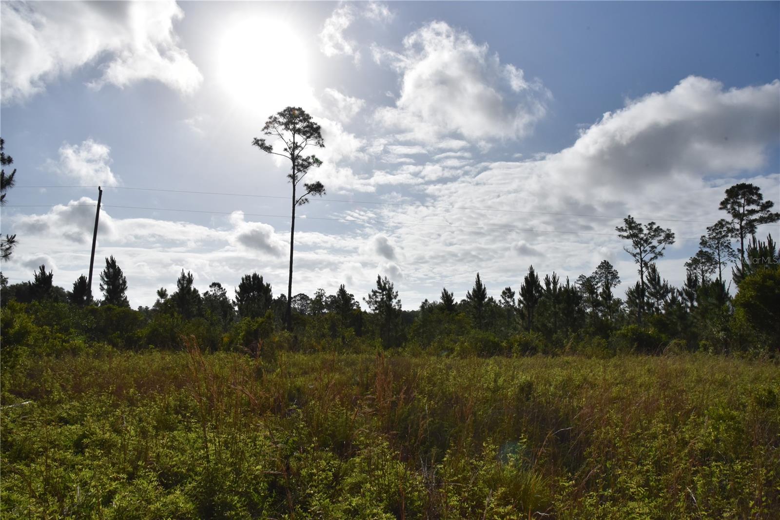 22370 NE 130TH AVE, FORT MC COY, FL