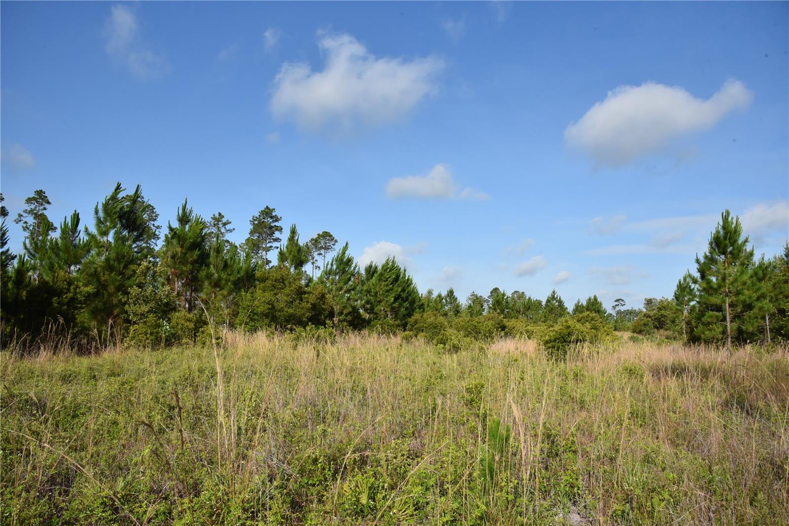 22370 NE 130TH AVE, FORT MC COY, FL — photo 2