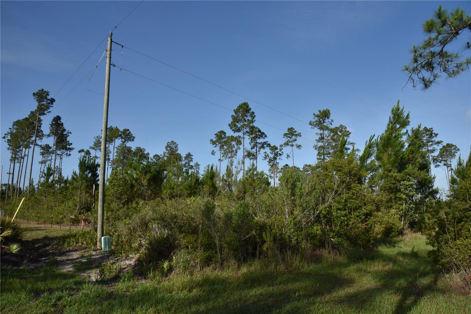 22370 NE 130TH AVE, FORT MC COY, FL — photo 4