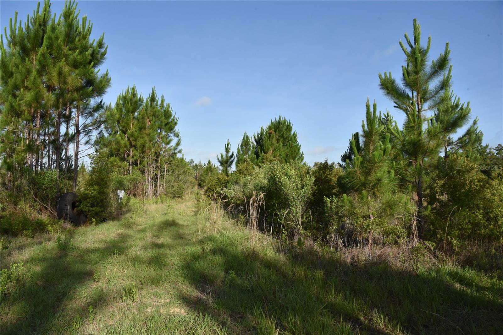 22370 NE 130TH AVE, FORT MC COY, FL — photo 7