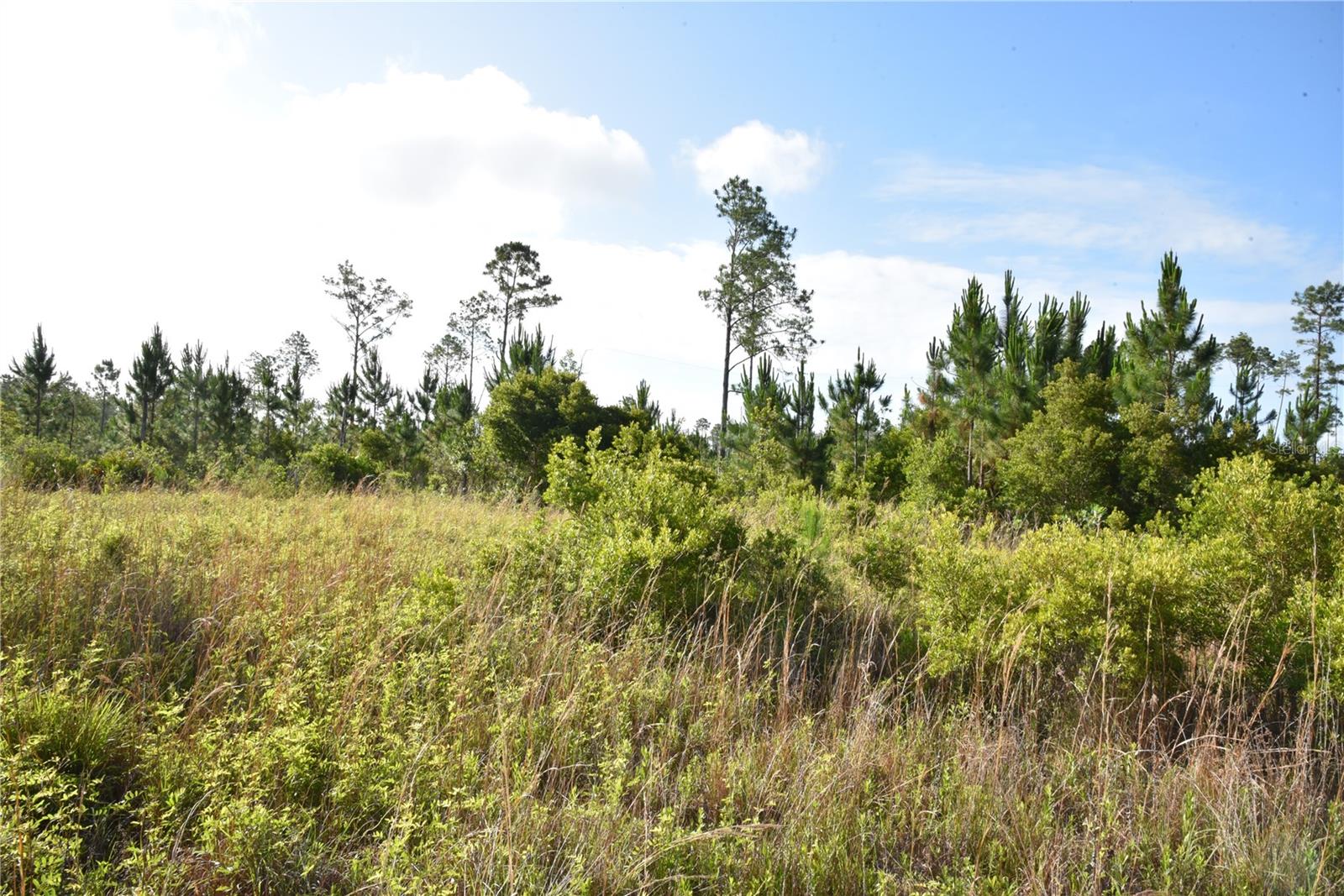 22370 NE 130TH AVE, FORT MC COY, FL — photo 10