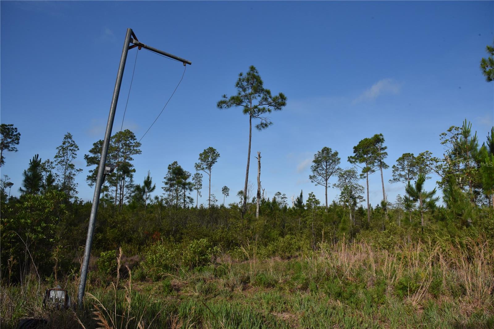 22370 NE 130TH AVE, FORT MC COY, FL — photo 18