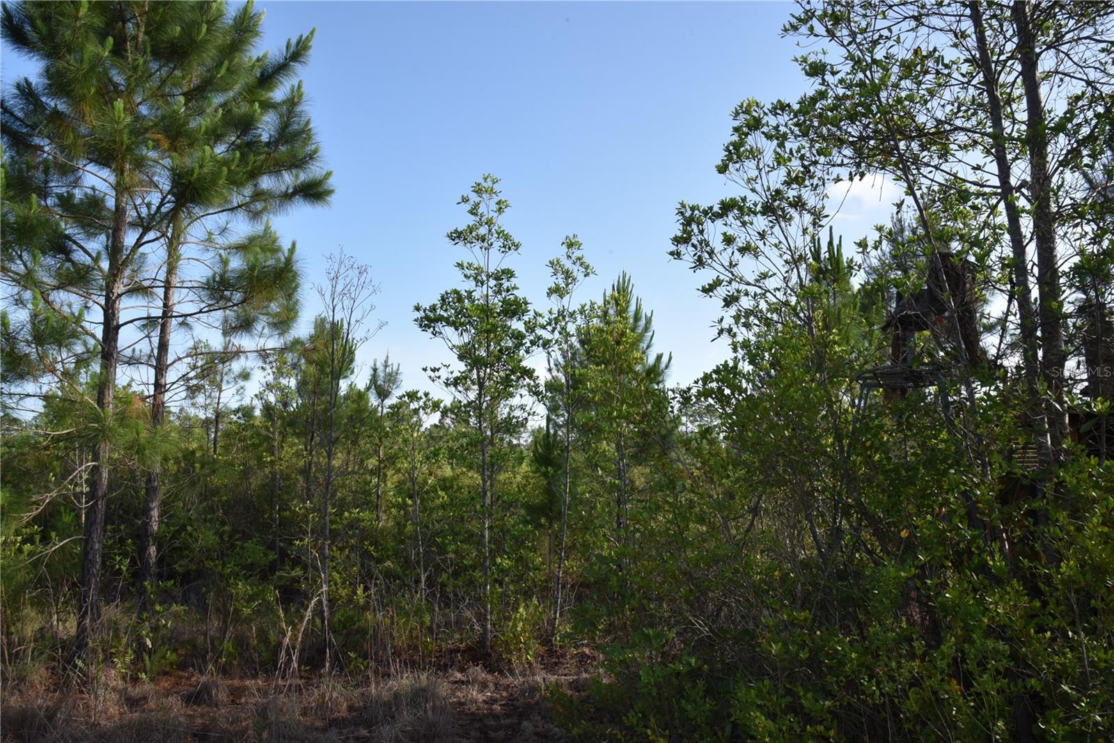 22370 NE 130TH AVE, FORT MC COY, FL — photo 19