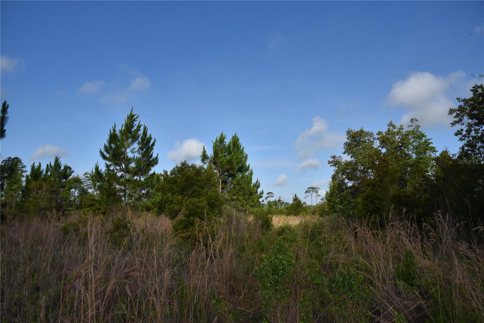 22370 NE 130TH AVE, FORT MC COY, FL — photo 22