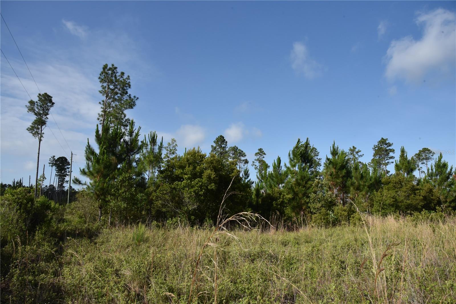 22370 NE 130TH AVE, FORT MC COY, FL — photo 23
