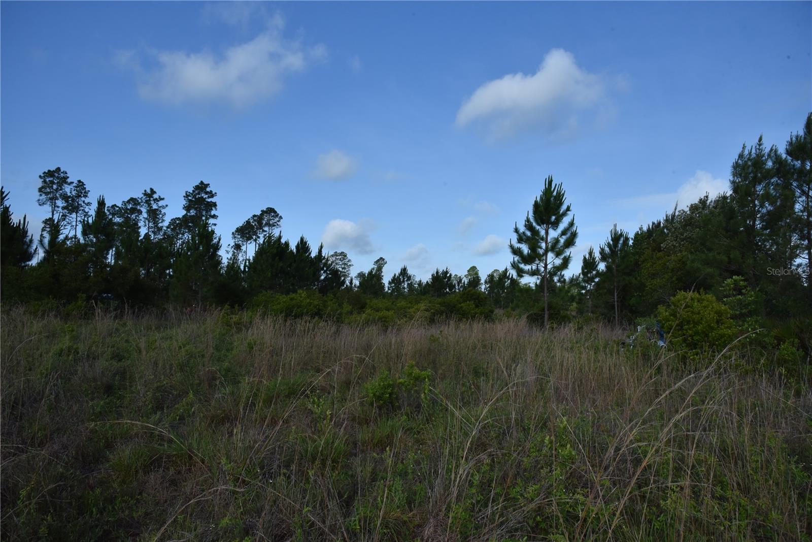 22370 NE 130TH AVE, FORT MC COY, FL — photo 24