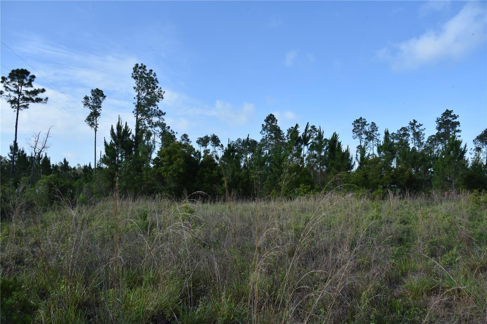 22370 NE 130TH AVE, FORT MC COY, FL — photo 25