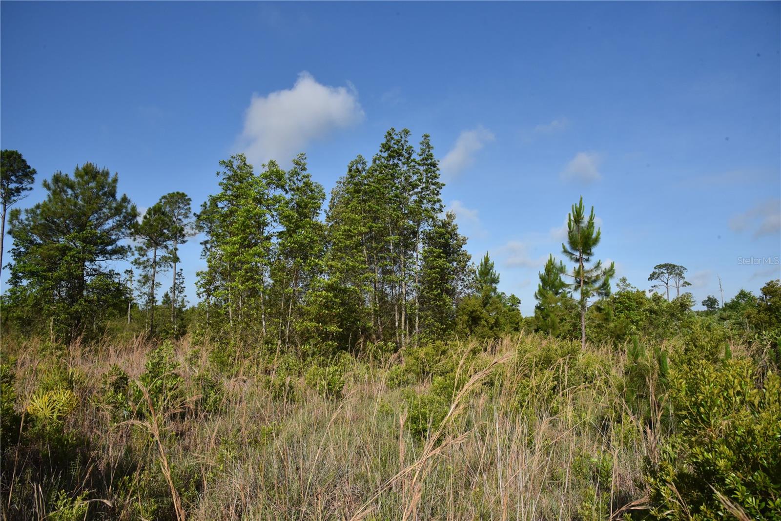 22370 NE 130TH AVE, FORT MC COY, FL — photo 26