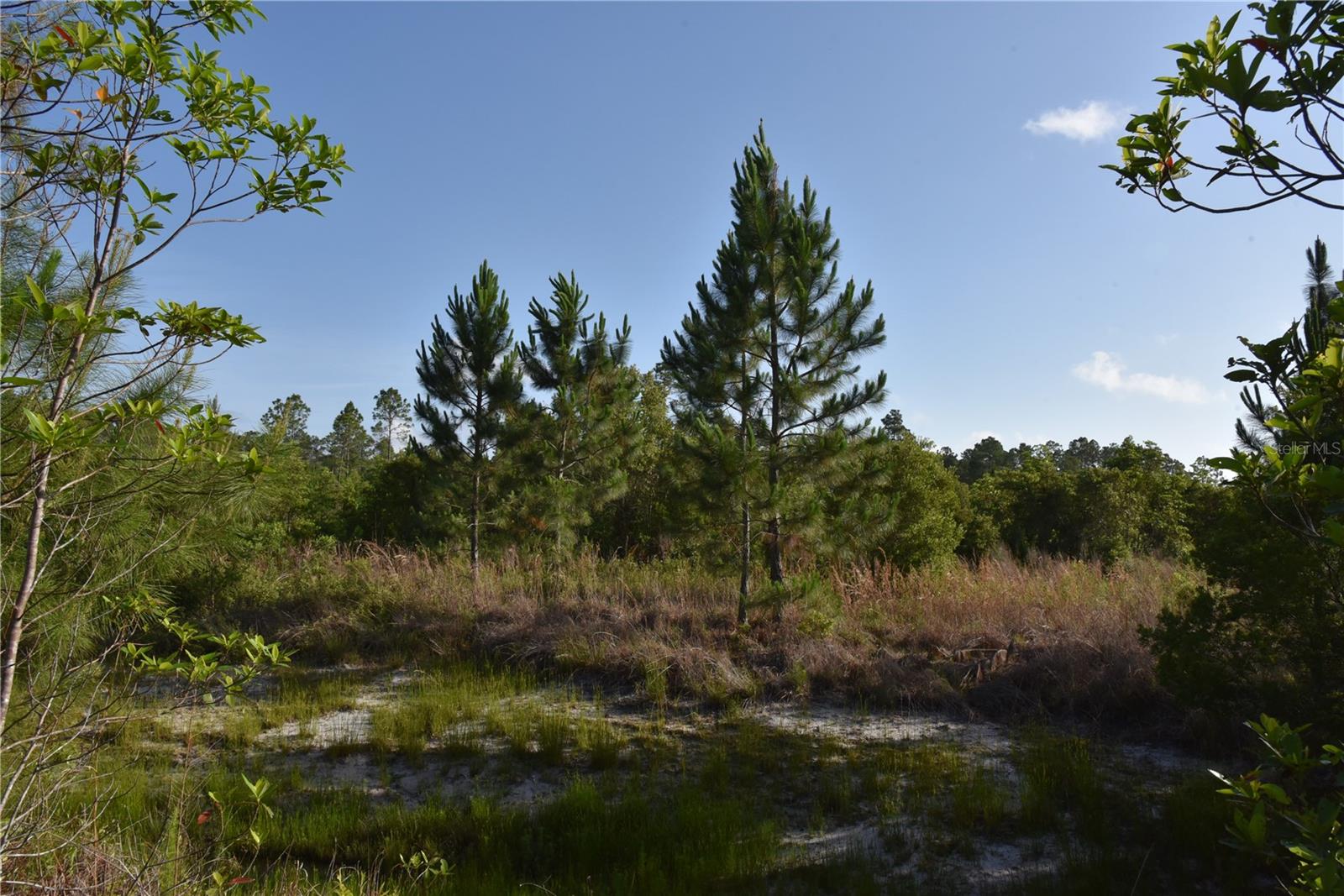 22370 NE 130TH AVE, FORT MC COY, FL — photo 28
