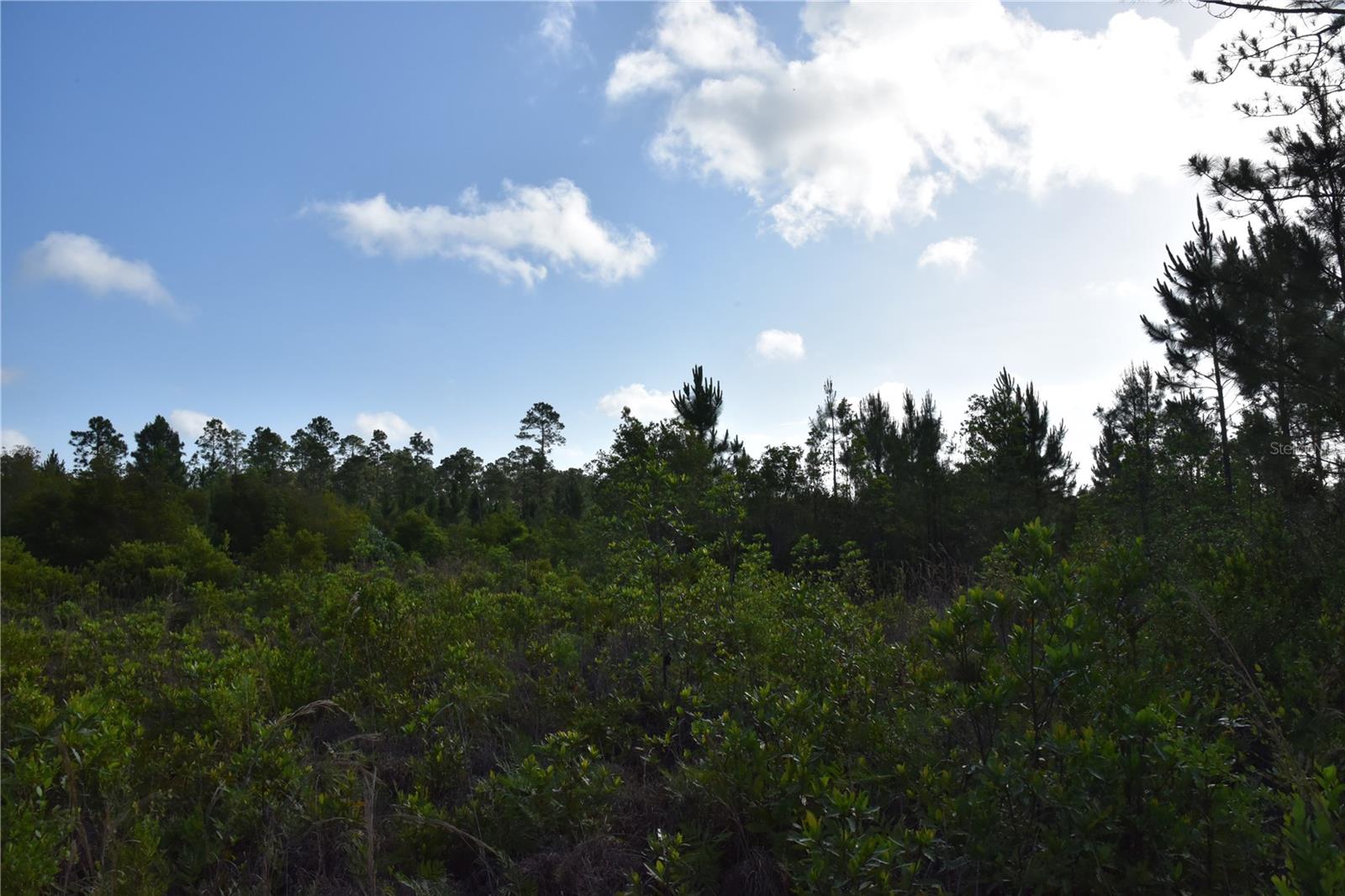 22370 NE 130TH AVE, FORT MC COY, FL — photo 31