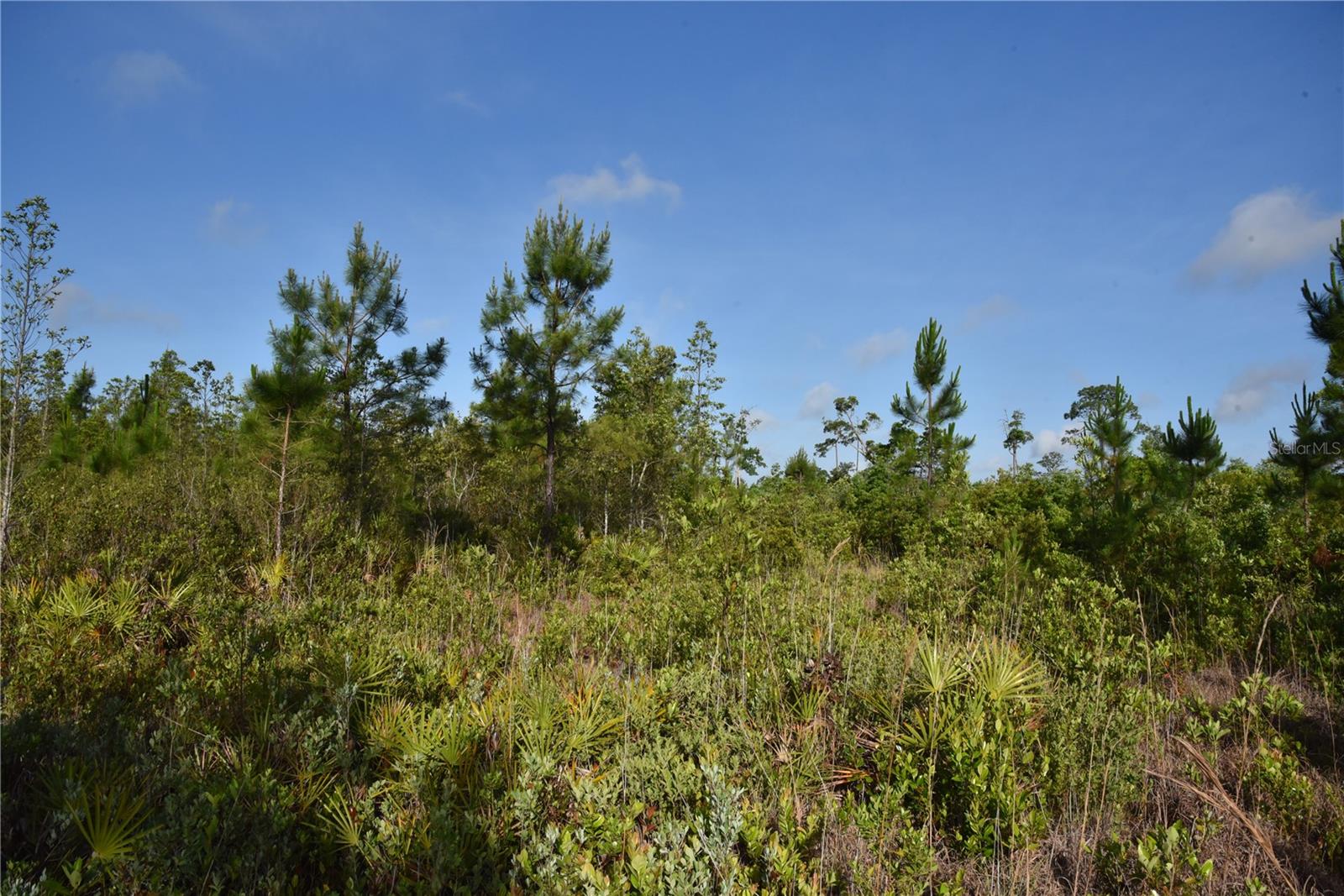 22370 NE 130TH AVE, FORT MC COY, FL — photo 33