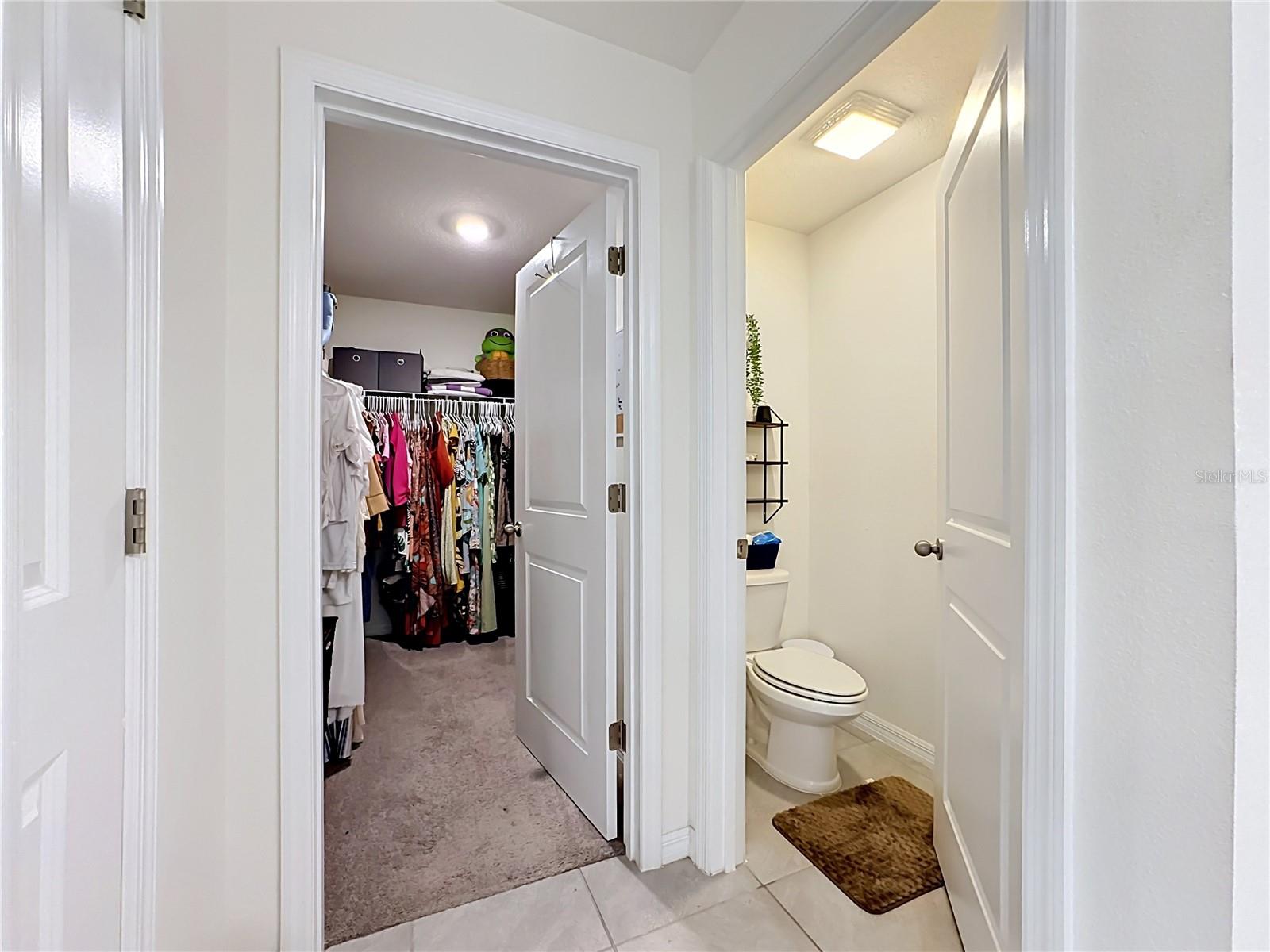 16661 WINDMILL FORGE PASS, WIMAUMA, FL — photo 18