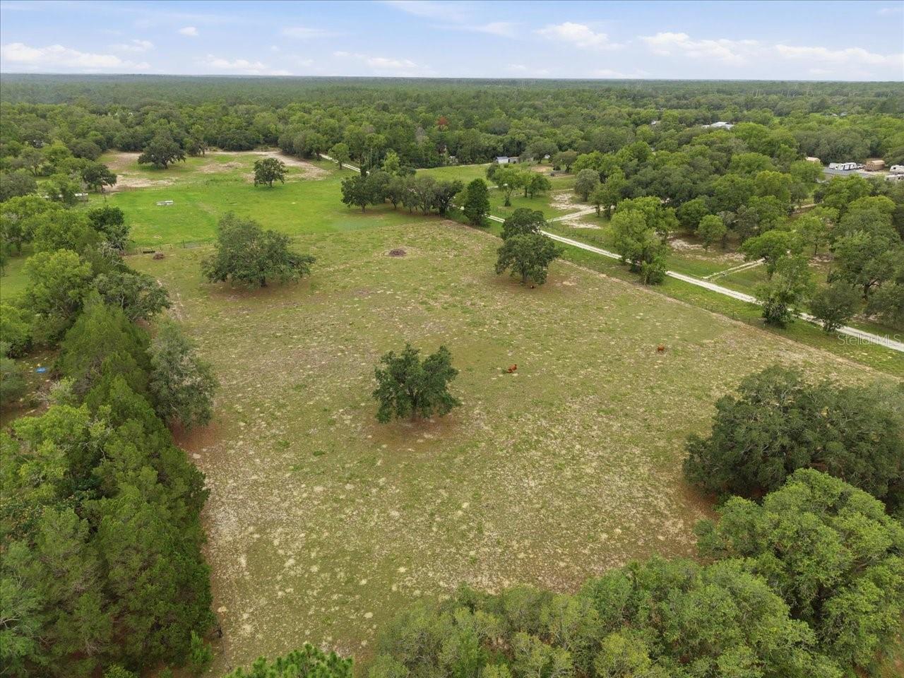 7291 S WANDERLUST PT, HOMOSASSA, FL — photo 19