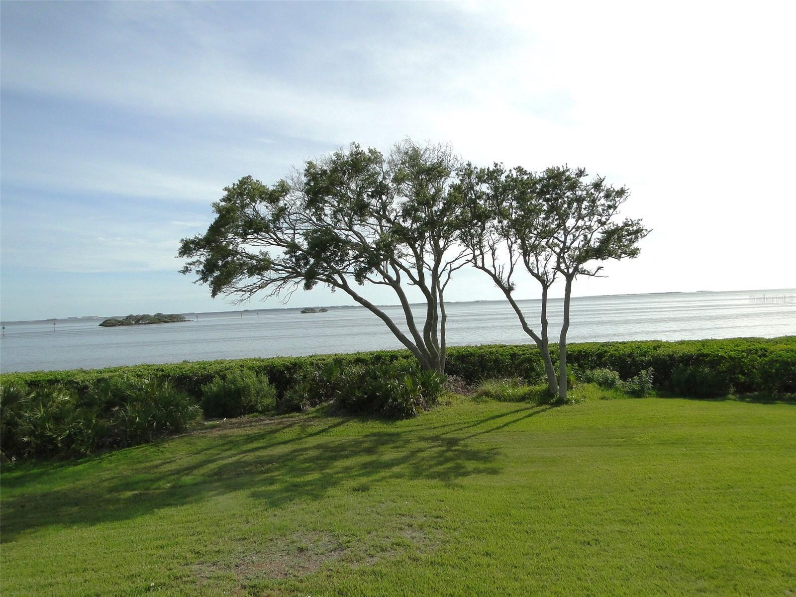 1814 MARINER DR #159, TARPON SPRINGS, FL — photo 26