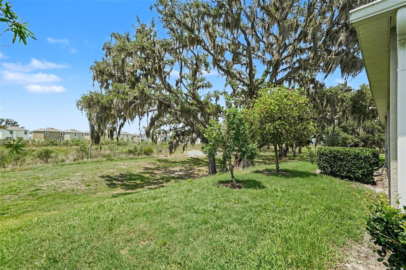 31457 MANGO FADE WAY, SAN ANTONIO, FL — photo 29