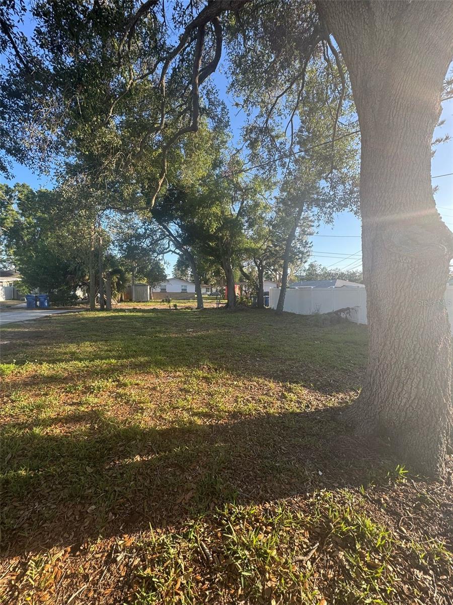 342 51ST AVE N, ST PETERSBURG, FL — photo 20