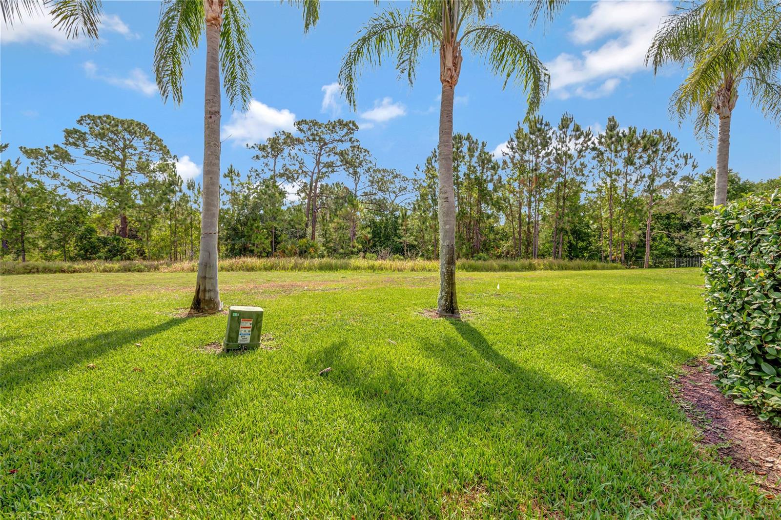 3050 WHITE ORCHID RD, KISSIMMEE, FL — photo 23