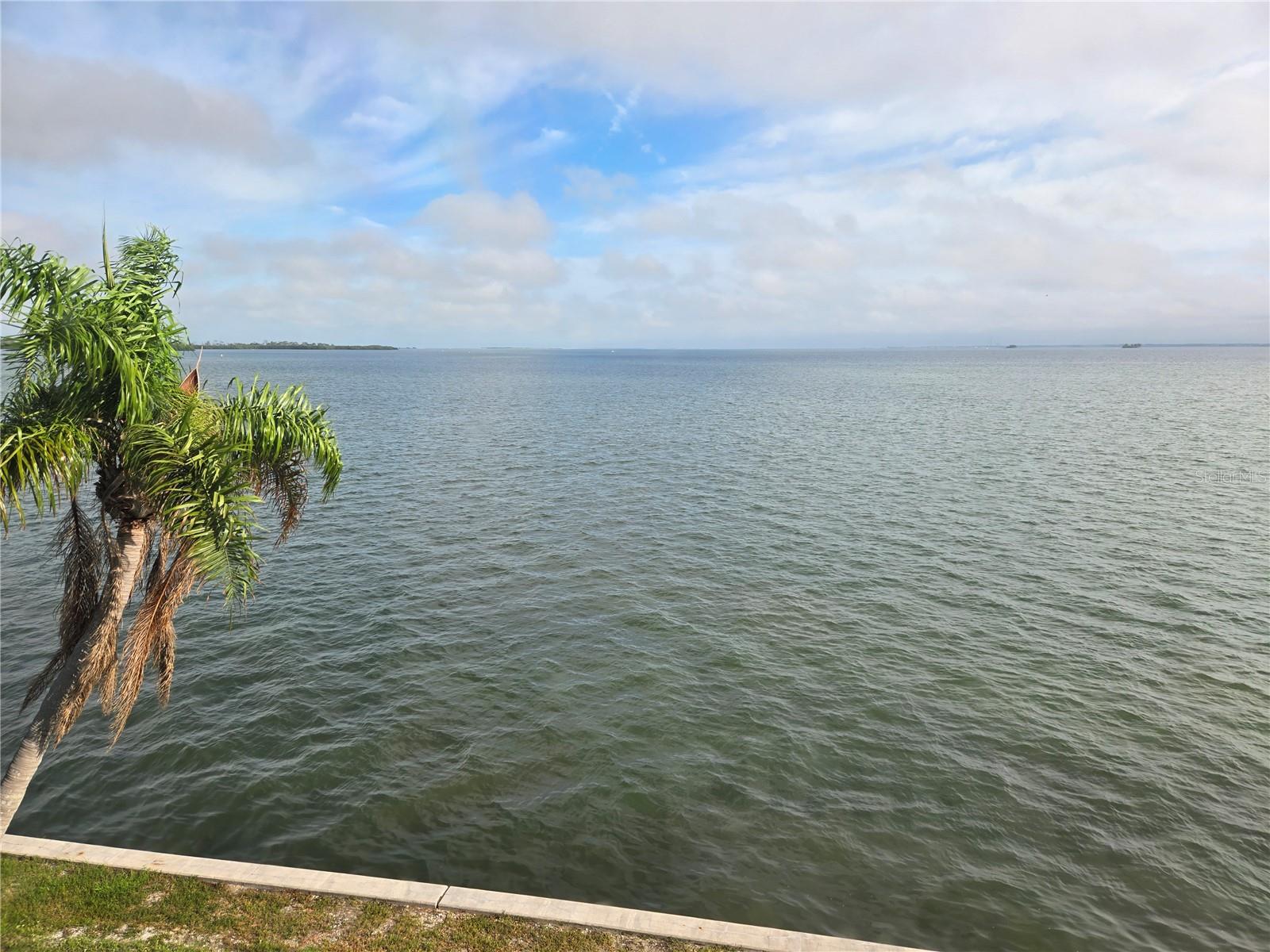 7 DUNOON PL #309, DUNEDIN, FL — photo 6
