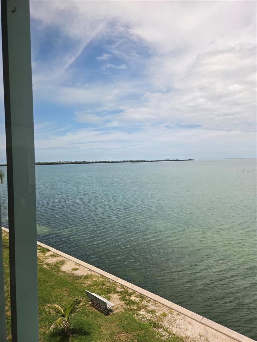 7 DUNOON PL #309, DUNEDIN, FL — photo 7