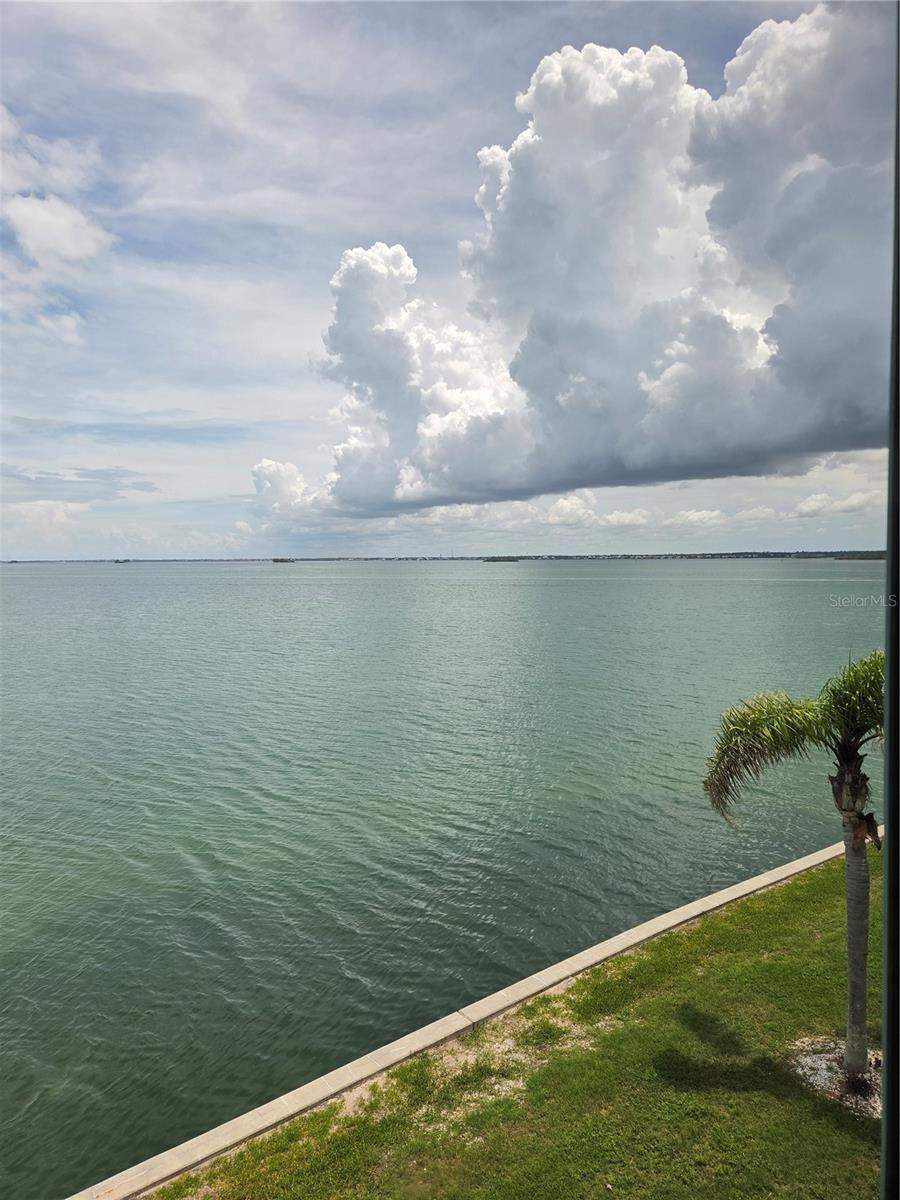 7 DUNOON PL #309, DUNEDIN, FL — photo 8